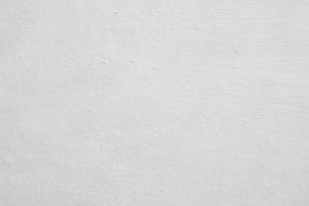 Mold Remediation for Rental Properties in Wixom, MI